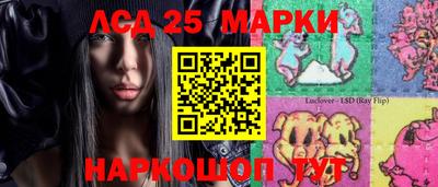 амф Камышлов