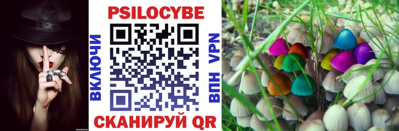 Галлюциногенные грибы прущие грибы  Кызыл 