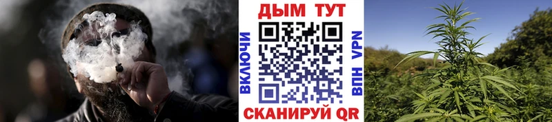 Каннабис White Widow  закладка  Кызыл 